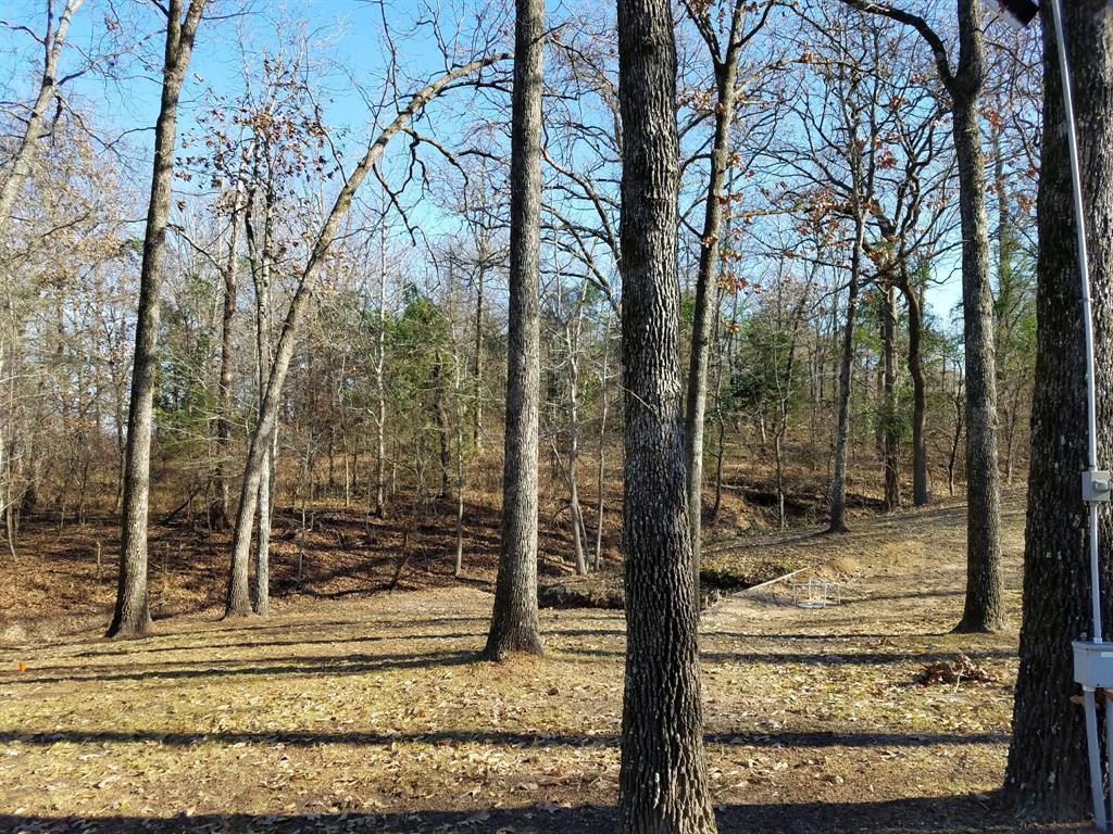 Tbd Cr 1503 Property Photo 6