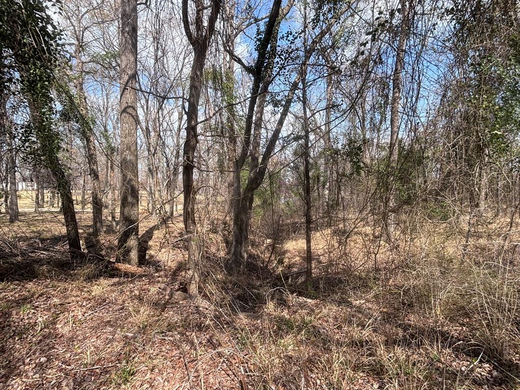 Tbd Cr 1503 Property Photo 7