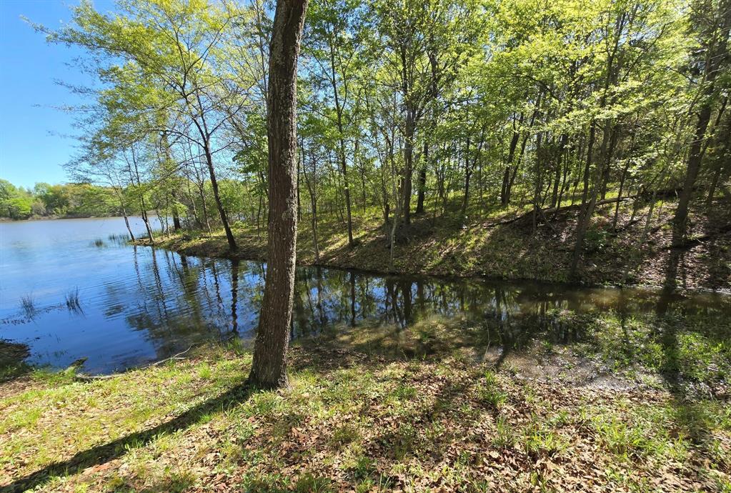 Tbd Cr 1503 Property Photo 10