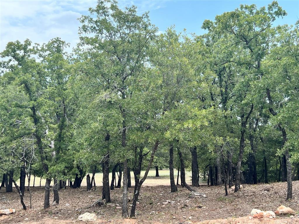 310 Rolling Bend Property Photo 3