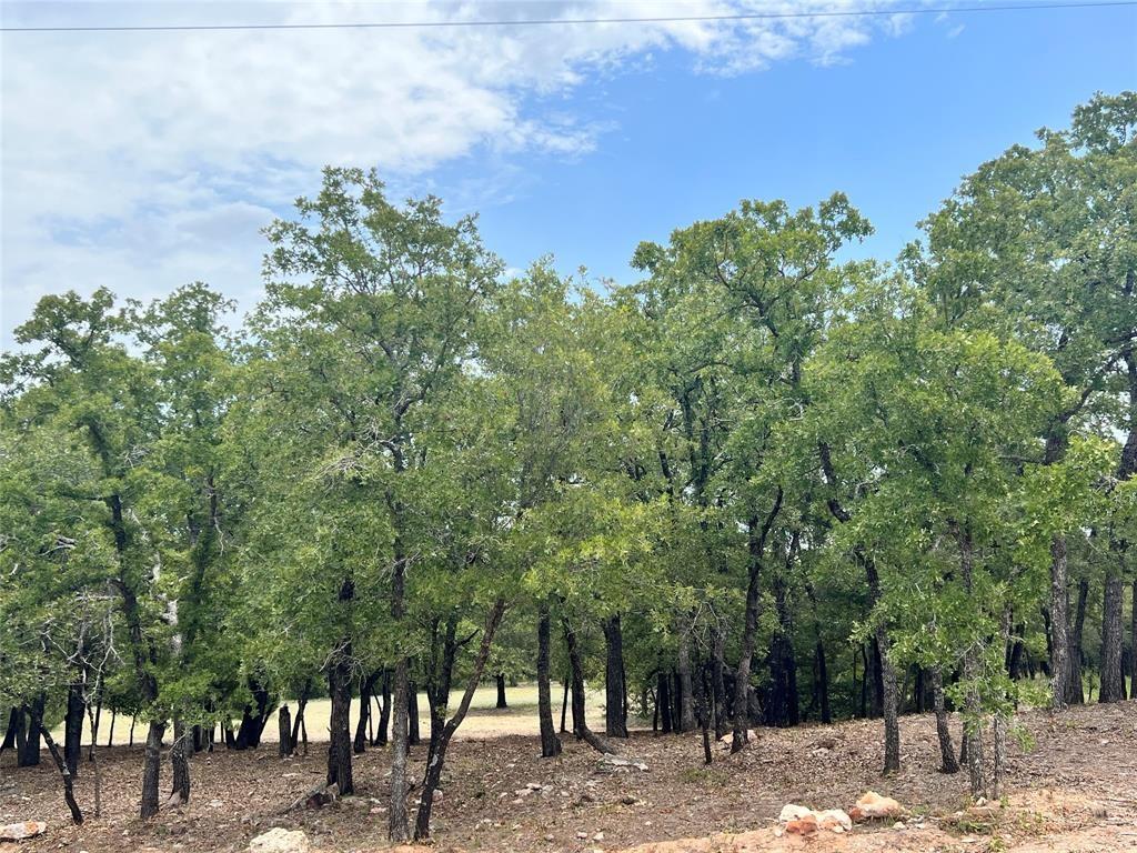 310 Rolling Bend Property Photo 4