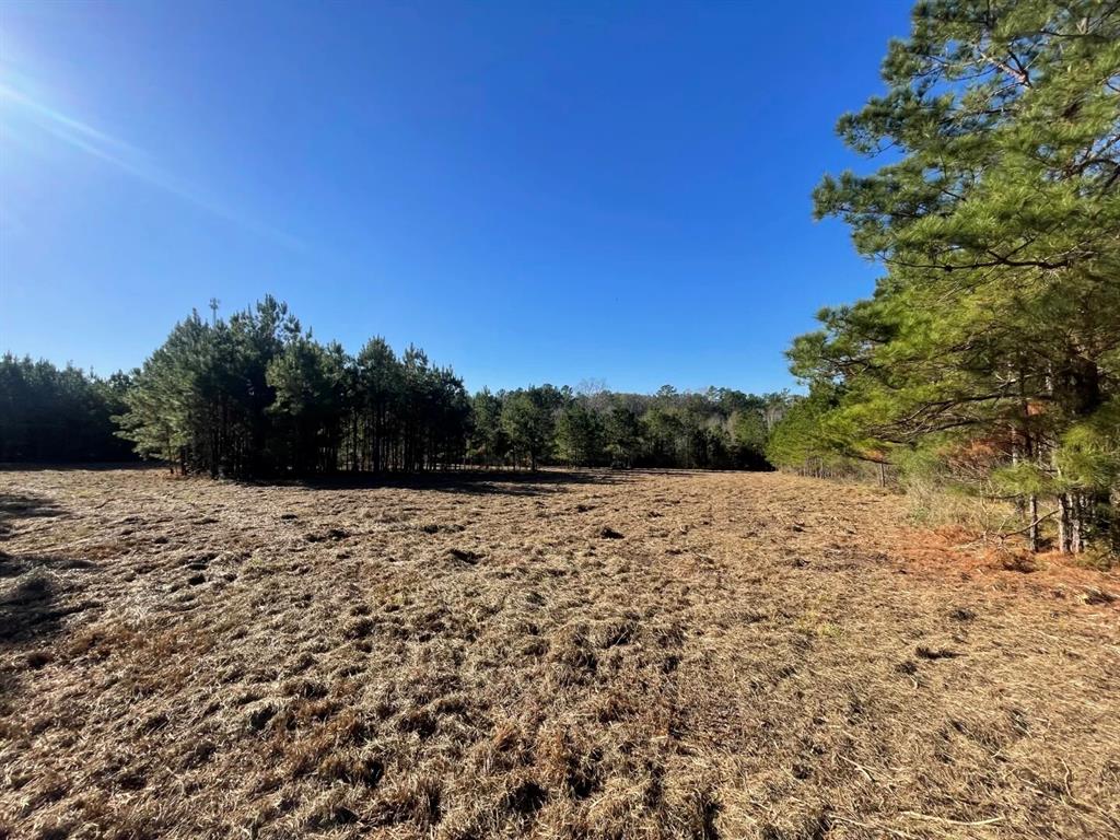 Lot 4 E Fm 942 Property Photo 19