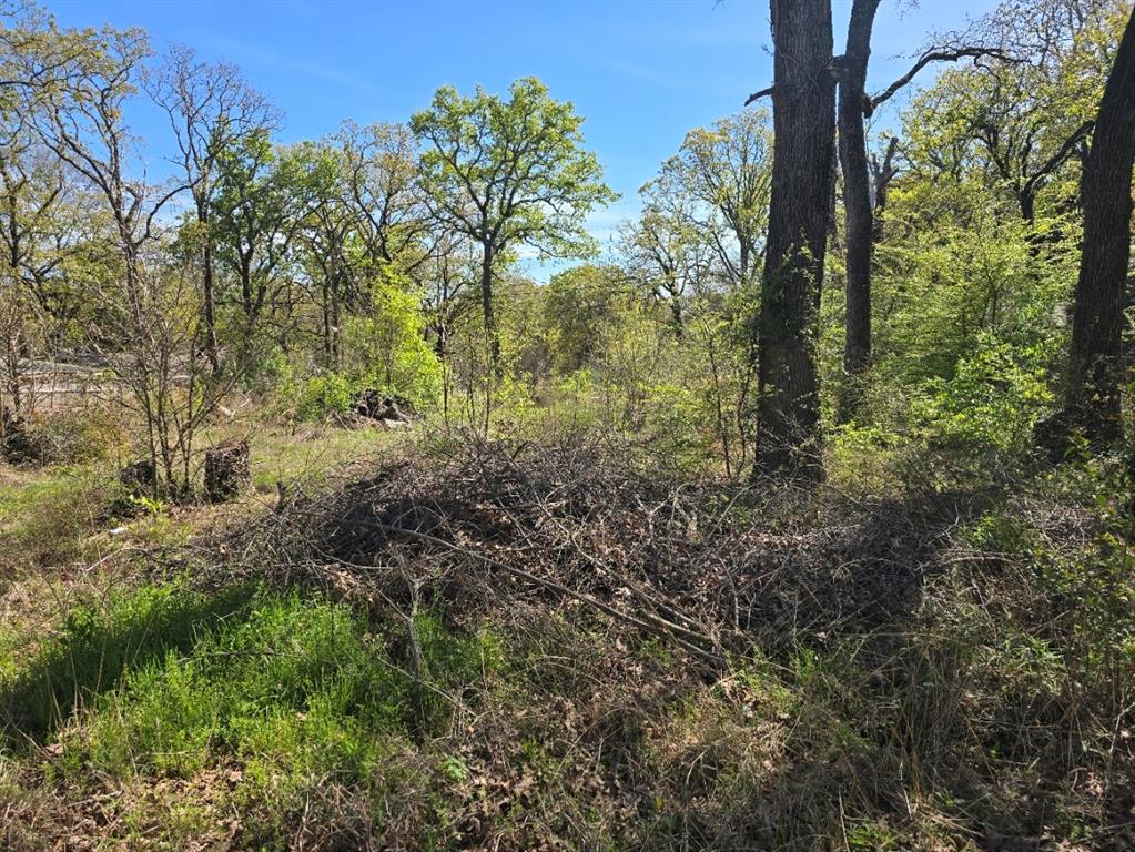 Lot 742 Oak Haven Drive Property Photo 1