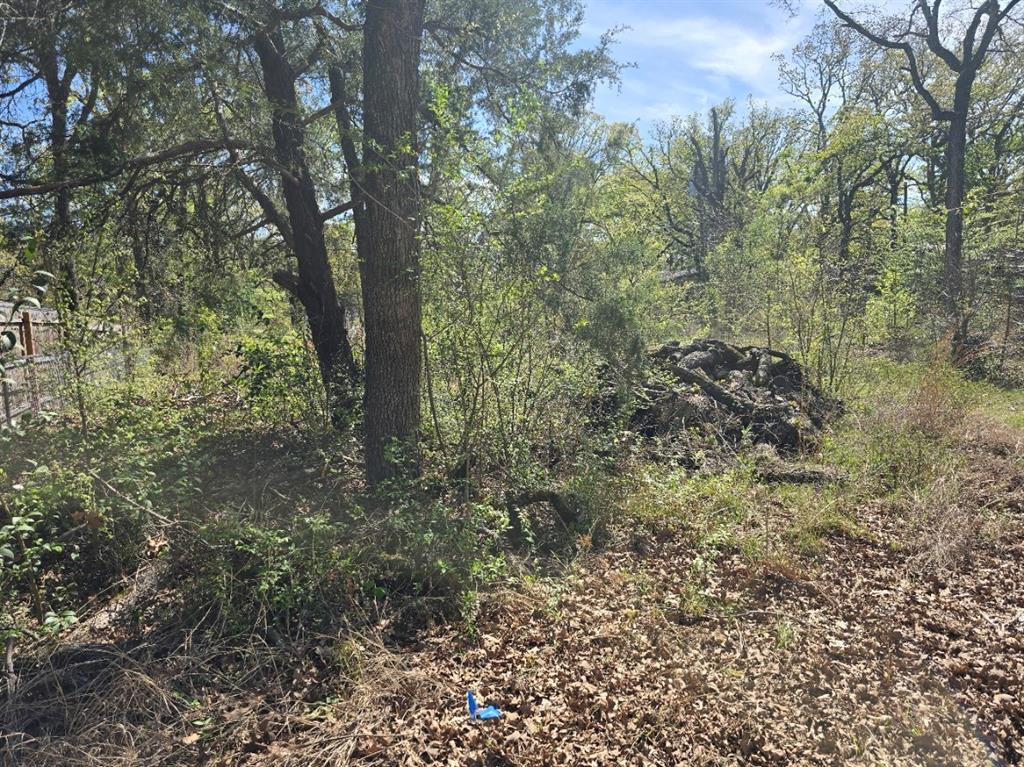 Lot 742 Oak Haven Drive Property Photo 3