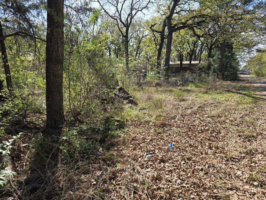 Lot 742 Oak Haven Drive Property Photo 4