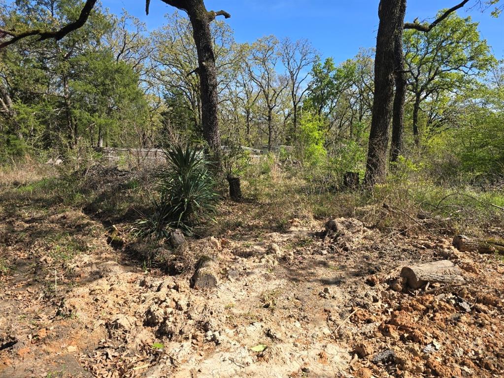 Lot 742 Oak Haven Drive Property Photo 5