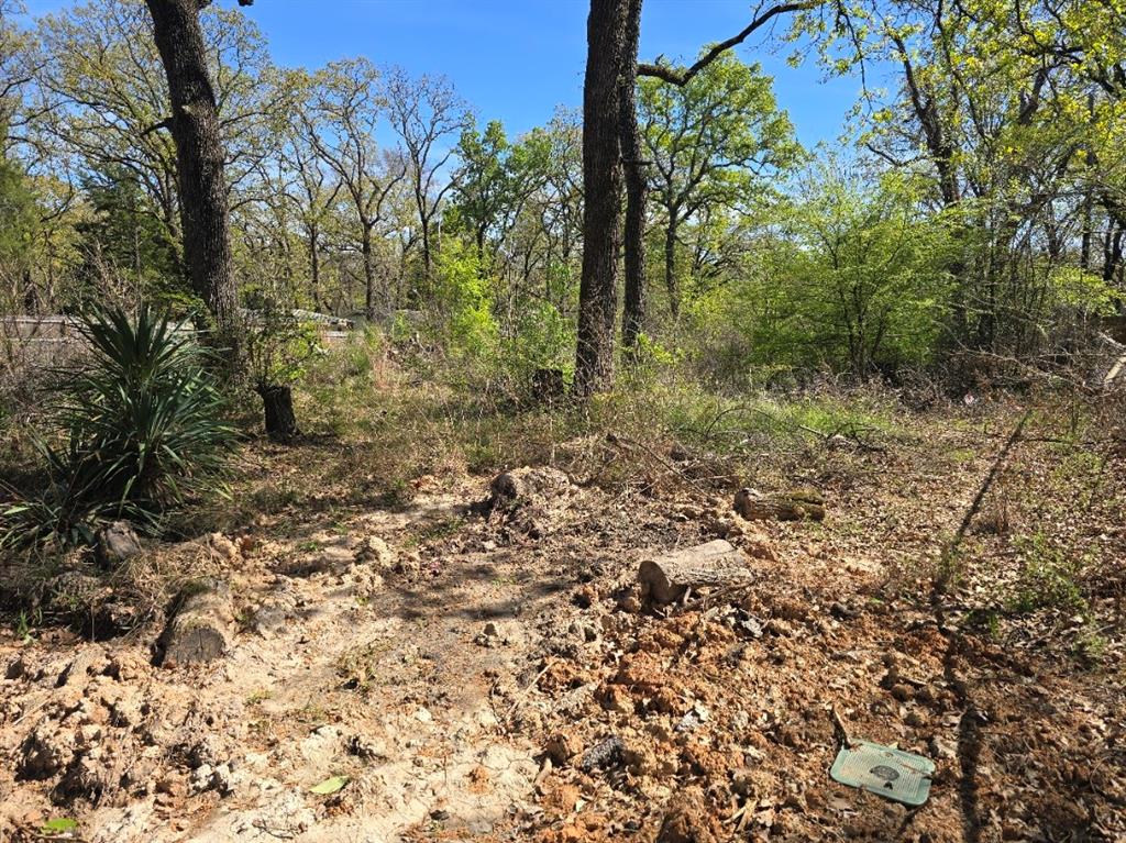 Lot 742 Oak Haven Drive Property Photo 6