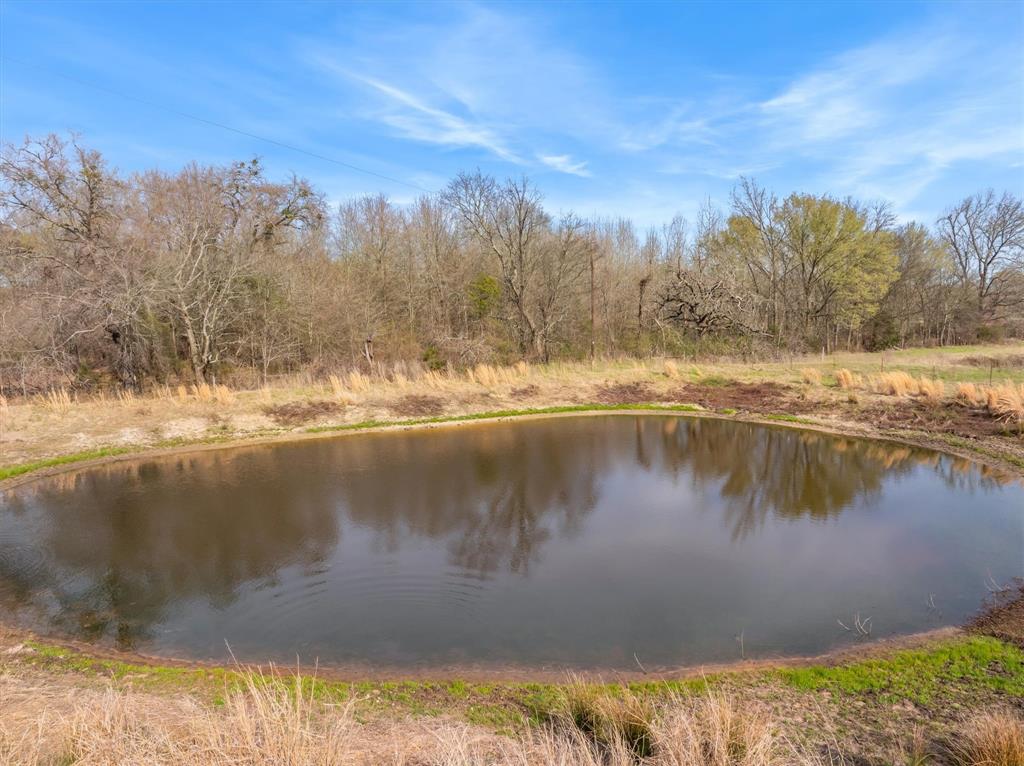 15548 Highway 80 Property Photo 18