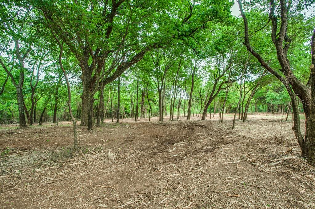 Tbd E Farm To Market 455 Property Photo 2