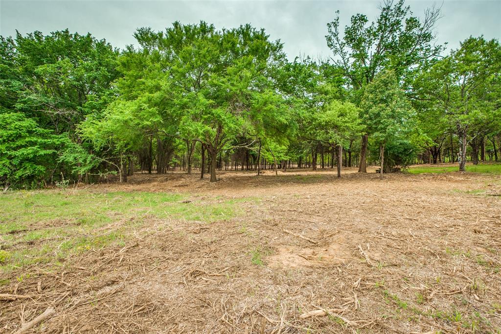 Tbd E Farm To Market 455 Property Photo 7