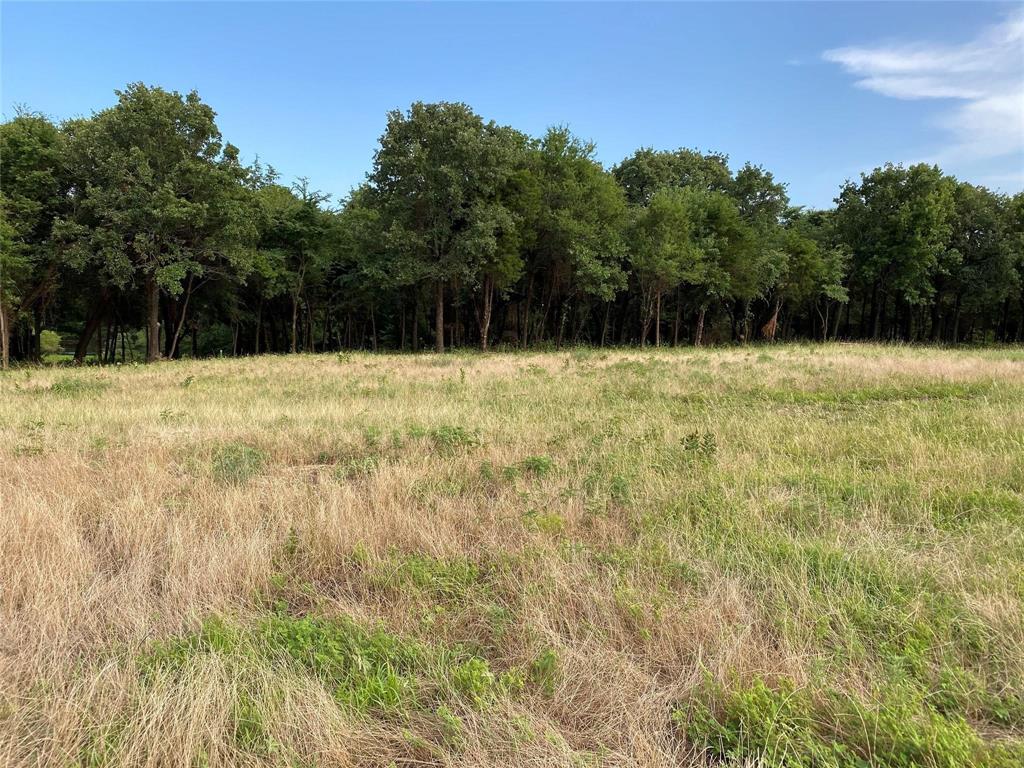Tbd E Farm To Market 455 Property Photo 8