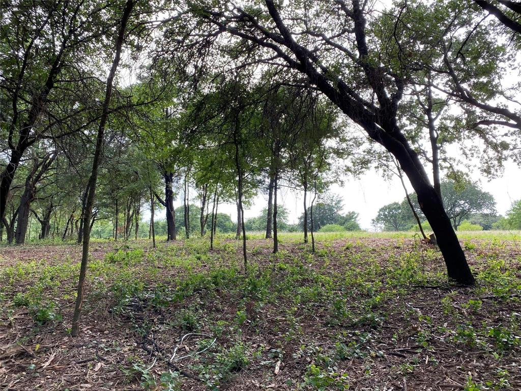 Tbd E Farm To Market 455 Property Photo 10