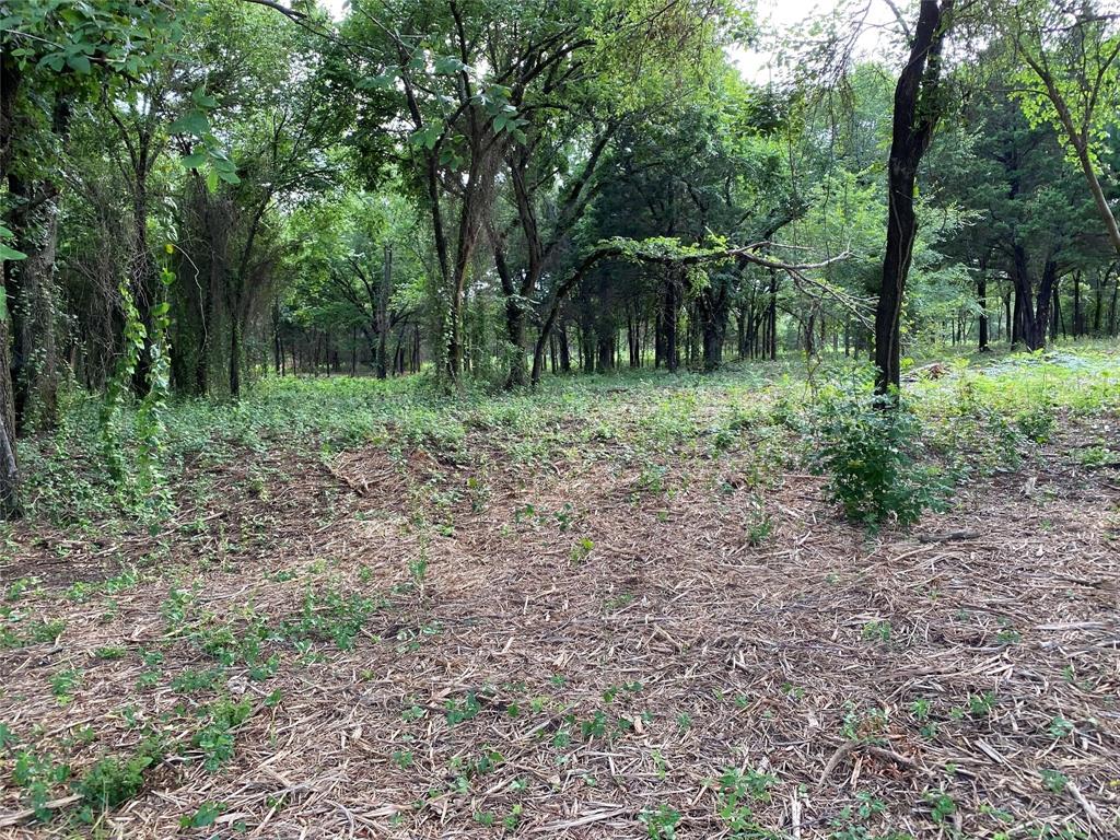 Tbd E Farm To Market 455 Property Photo 11