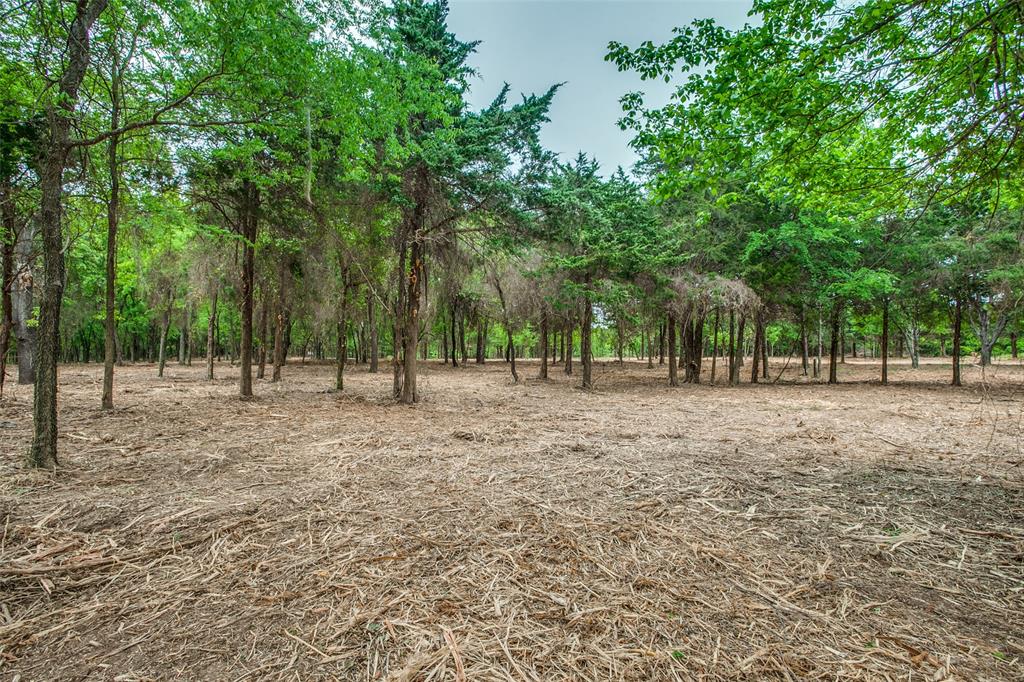 Tbd E Farm To Market 455 Property Photo 16