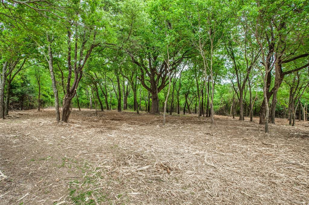 Tbd E Farm To Market 455 Property Photo 17