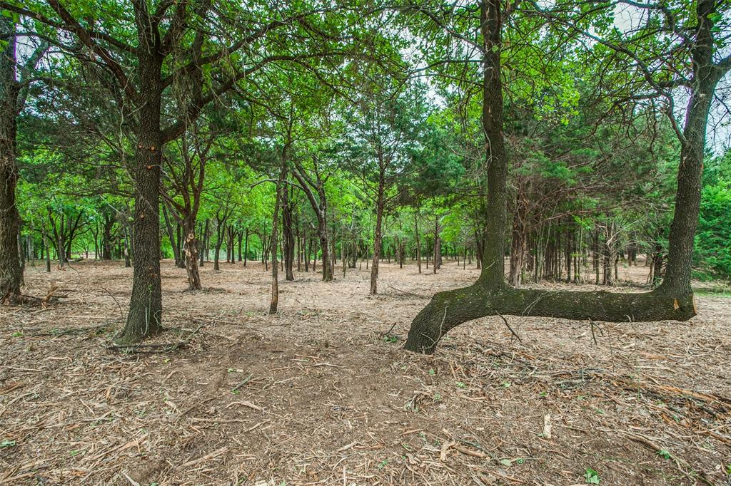 Tbd E Farm To Market 455 Property Photo 18