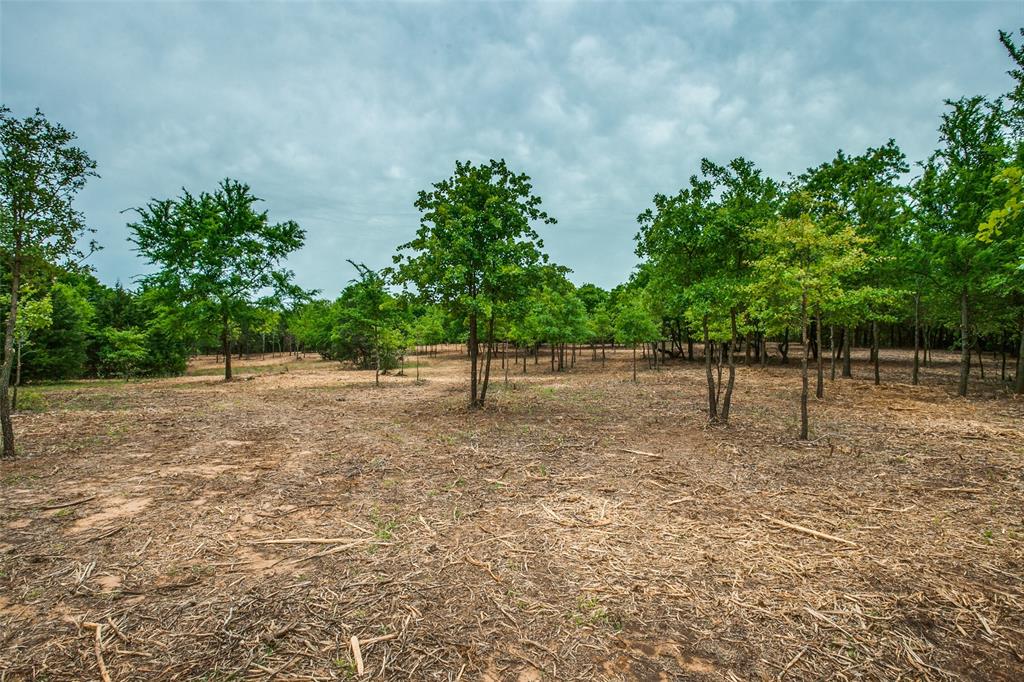 Tbd E Farm To Market 455 Property Photo 19