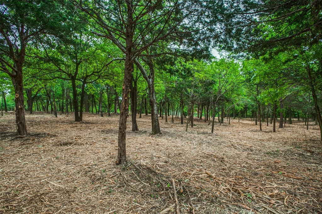 Tbd E Farm To Market 455 Property Photo 20