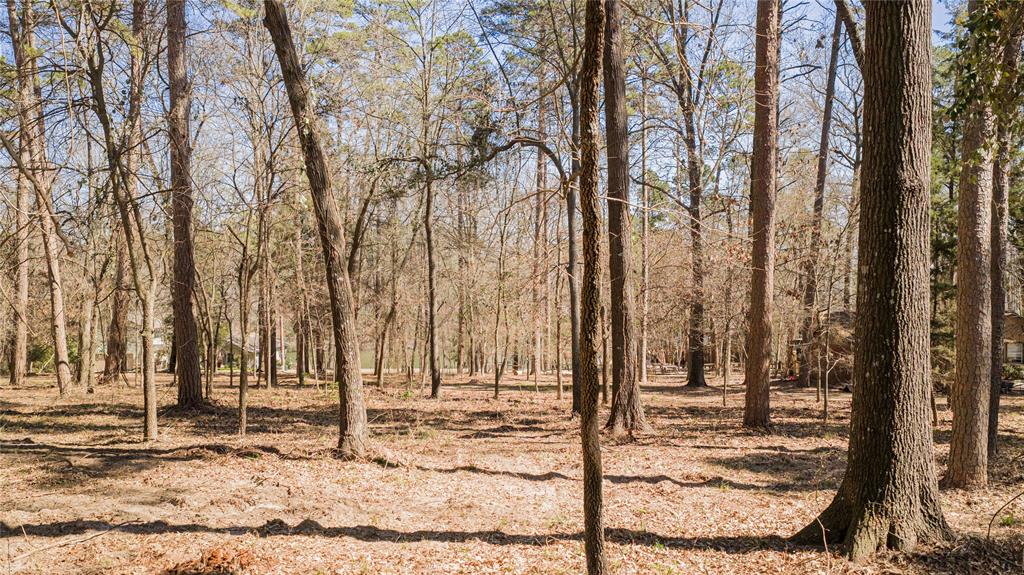 Tbd King Larry Property Photo 2