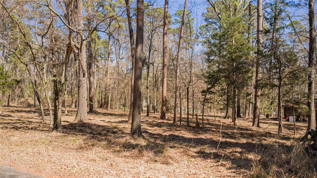 Tbd King Larry Property Photo 3