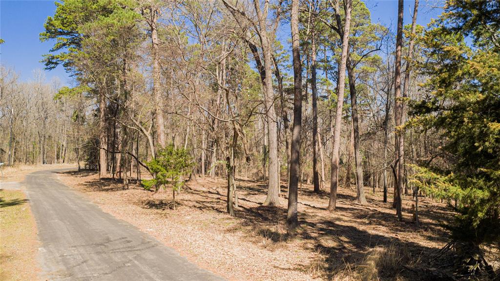 Tbd King Larry Property Photo 9