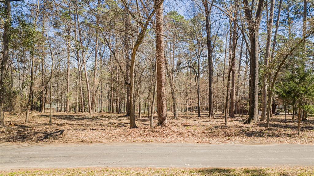 Tbd King Larry Property Photo 10