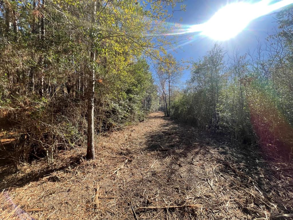 Lot 5 E Fm 942 Property Photo 15