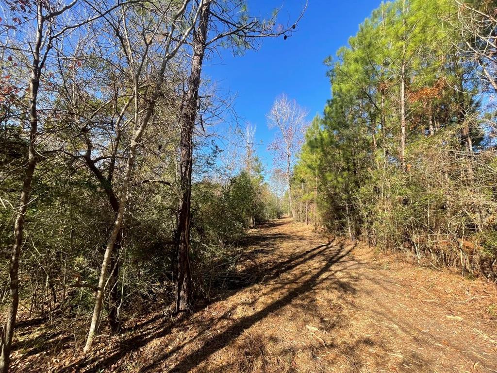 Lot 5 E Fm 942 Property Photo 18