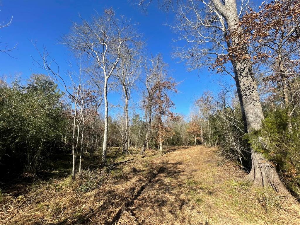 Lot 5 E Fm 942 Property Photo 21