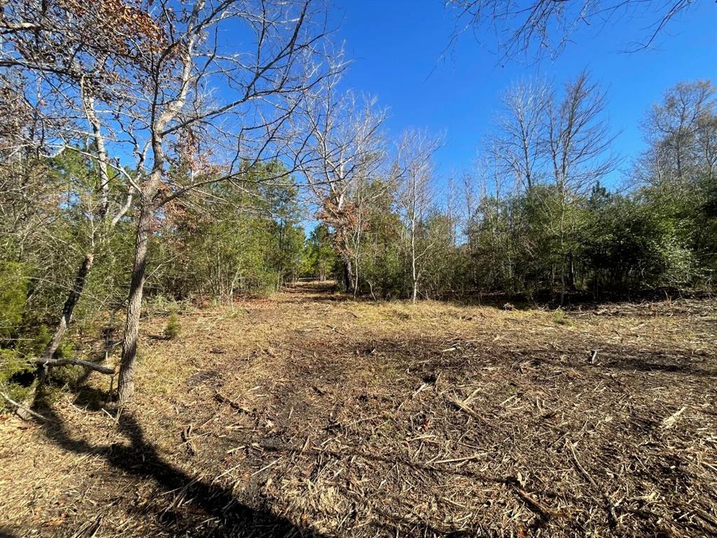 Lot 5 E Fm 942 Property Photo 22