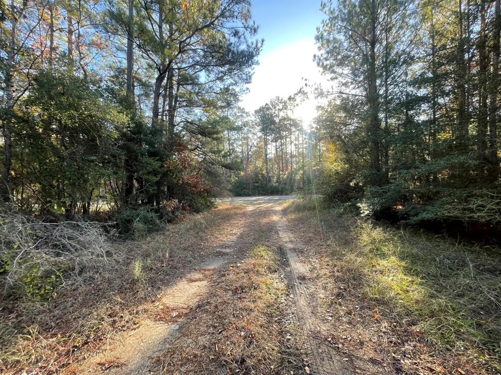 Lot 5 E Fm 942 Property Photo 32