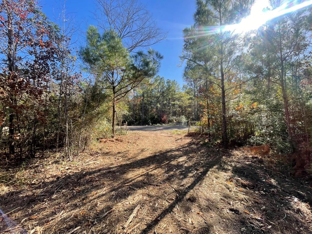 Lot 5 E Fm 942 Property Photo 33