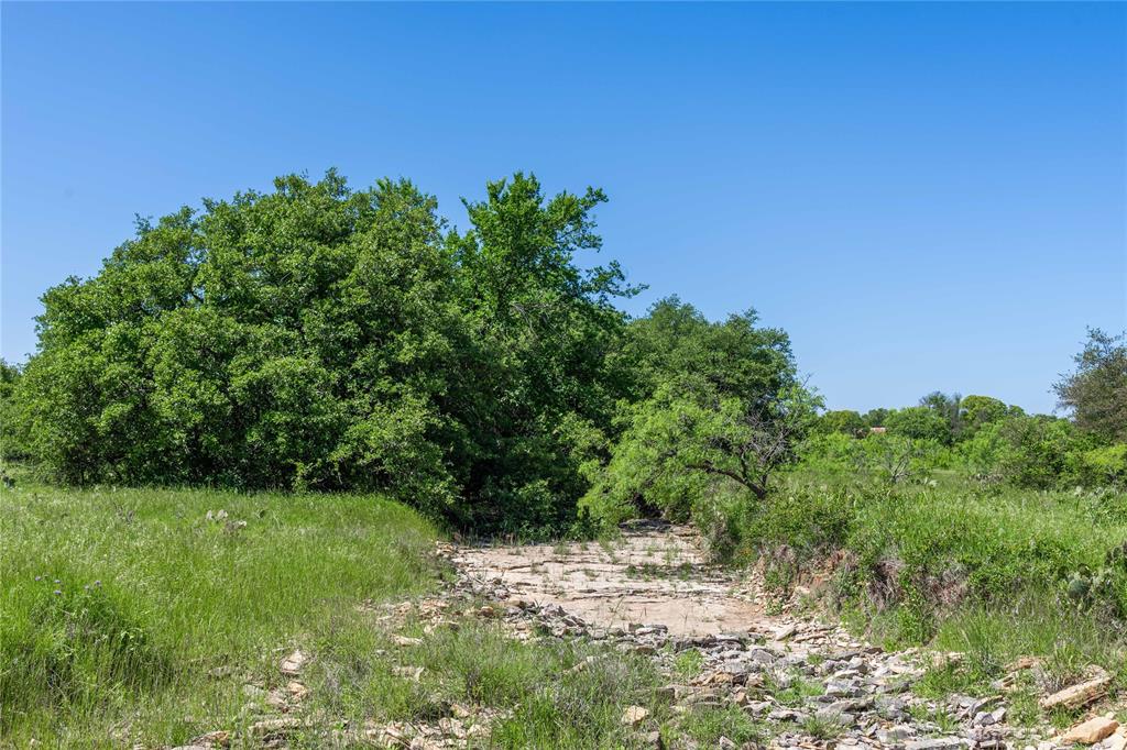 91 Acres Co Rd 370 Property Photo 8
