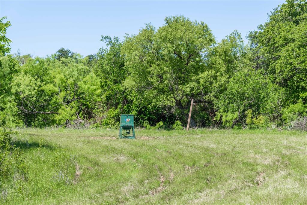 91 Acres Co Rd 370 Property Photo 9