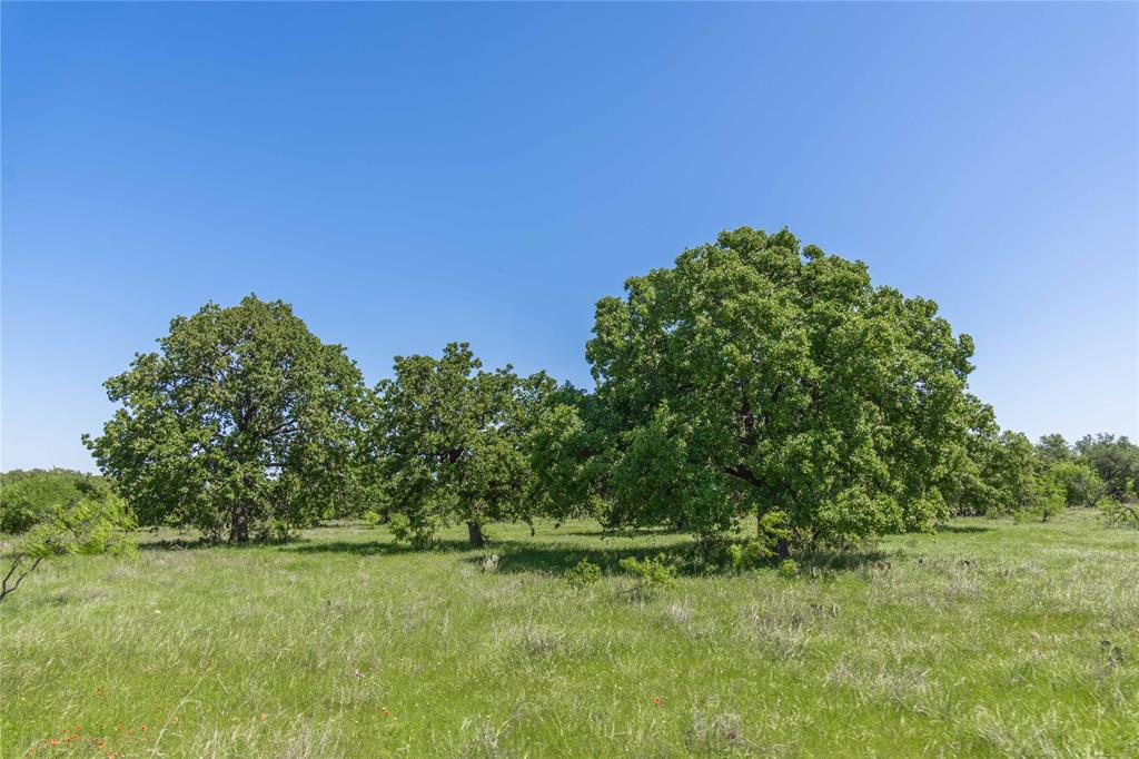 91 Acres Co Rd 370 Property Photo 26