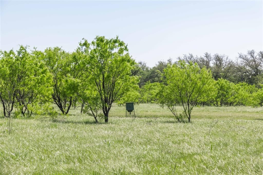 91 Acres Co Rd 370 Property Photo 34