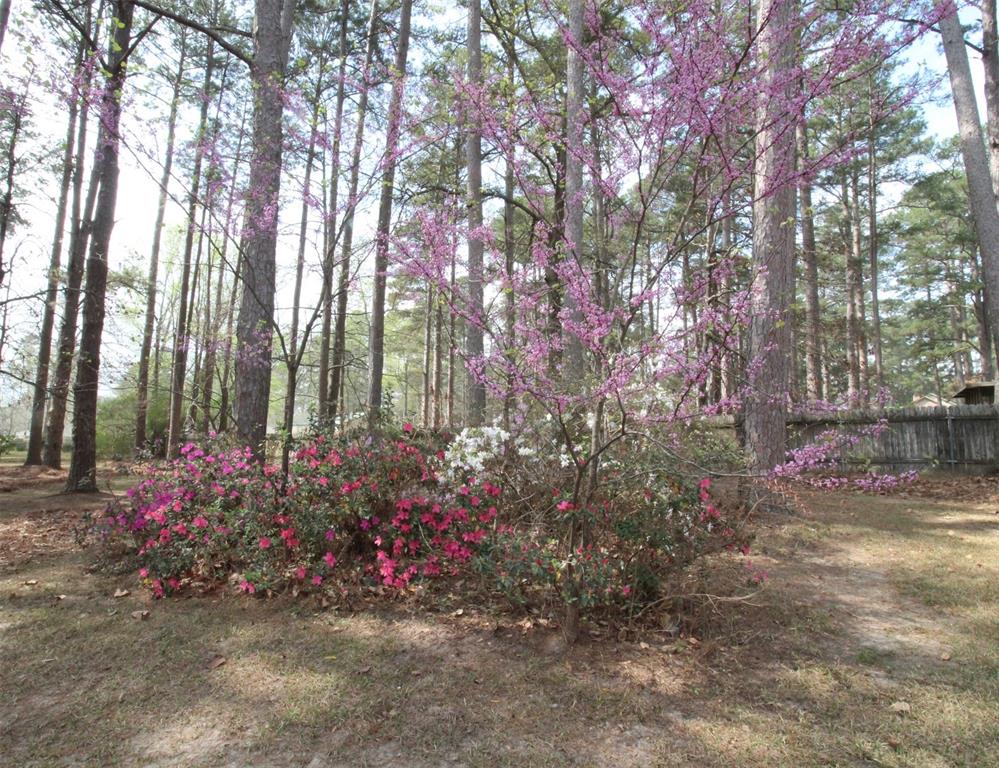 6831 North Park Lane Property Photo 39