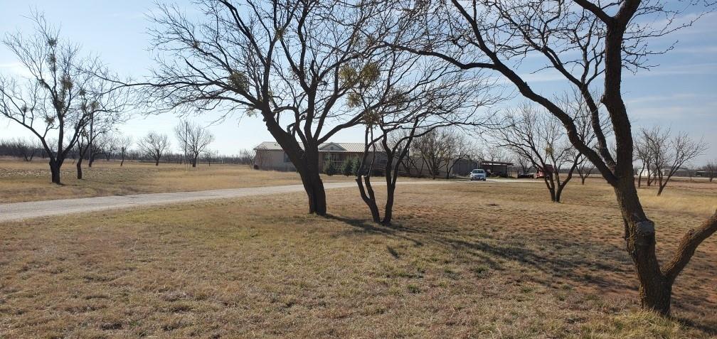 20326 County Road 304 Property Photo 6