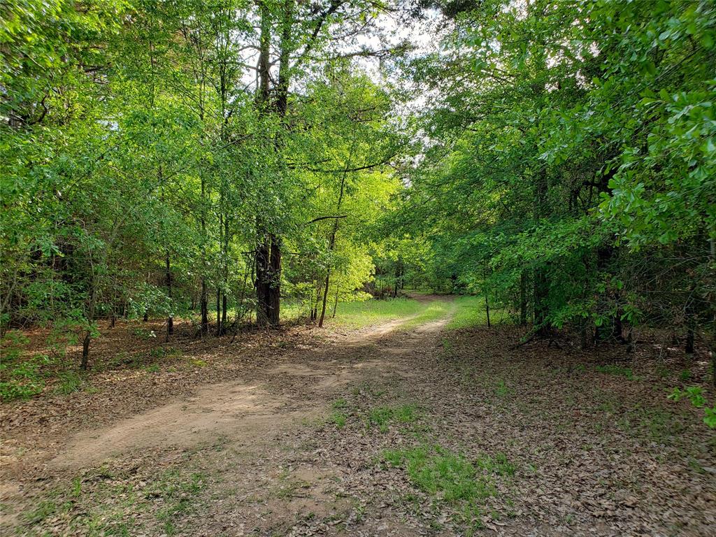 1070 Piney Grove Property Photo 2