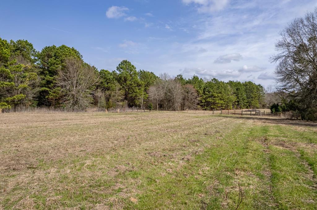 1070 Piney Grove Property Photo 27