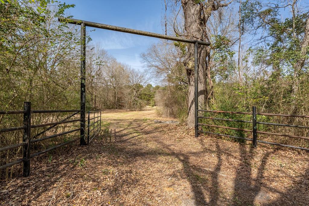 1070 Piney Grove Property Photo 28