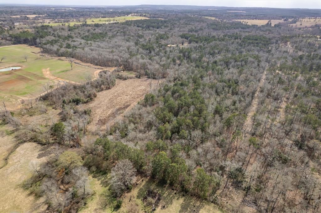 1070 Piney Grove Property Photo 30
