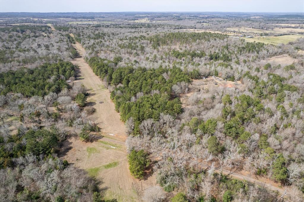 1070 Piney Grove Property Photo 32