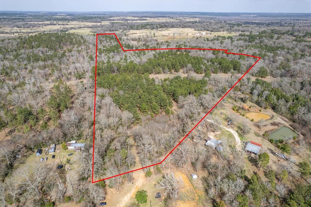 1070 Piney Grove Property Photo 34