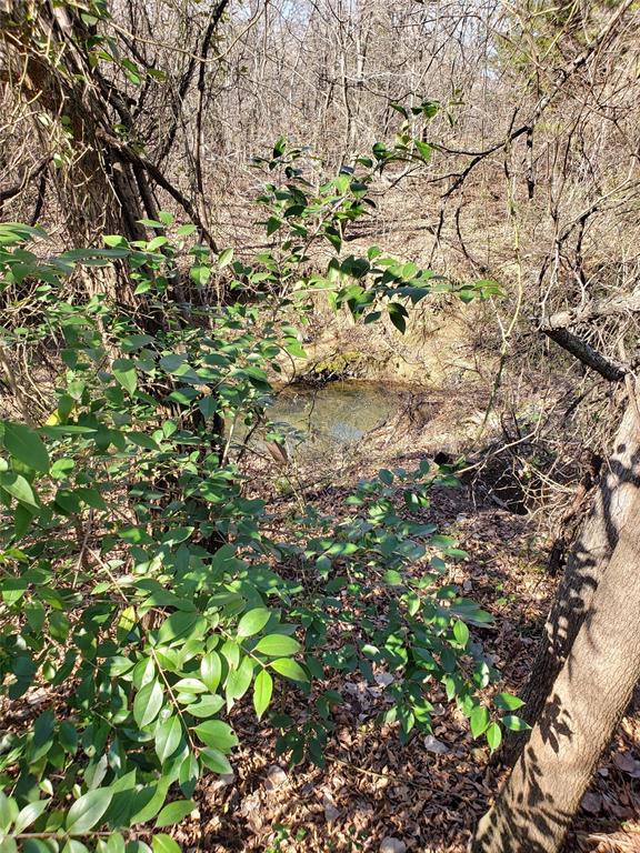 1070 Piney Grove Property Photo 36