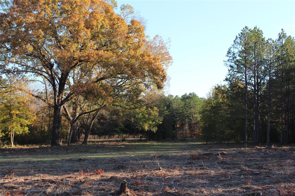 1070 Piney Grove Property Photo 39