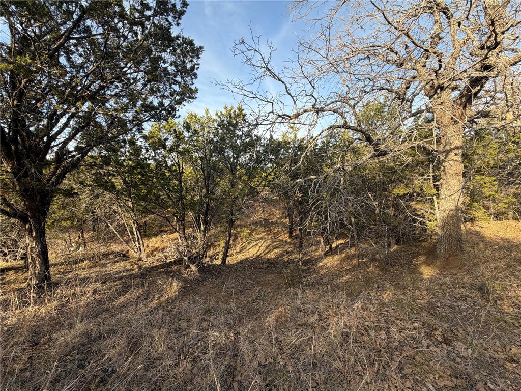 1143 Prairie Falcon Court Property Photo 9