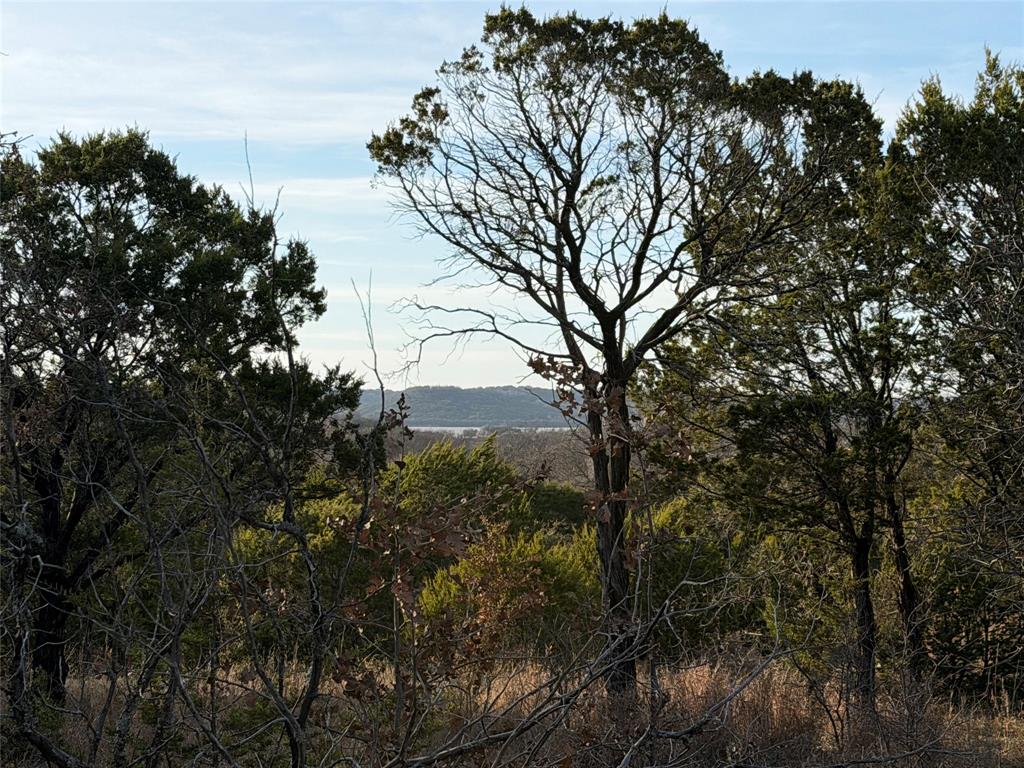 1143 Prairie Falcon Court Property Photo 10