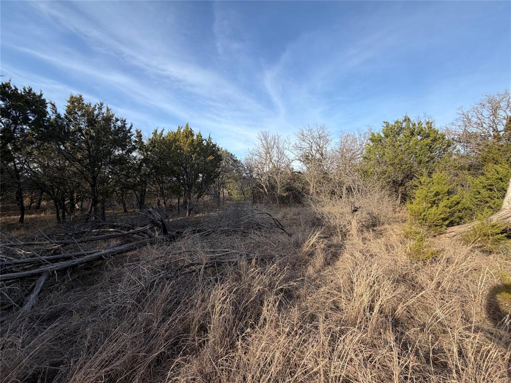 1143 Prairie Falcon Court Property Photo 11