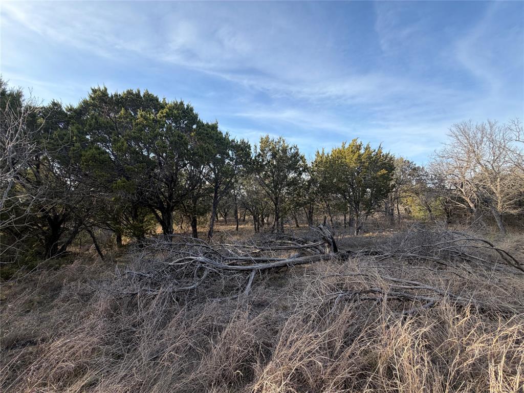1143 Prairie Falcon Court Property Photo 12